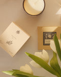 A simple sunlit arrangement of a candle, candle box, and white tulips.