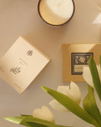 A simple sunlit arrangement of a candle, candle box, and white tulips.