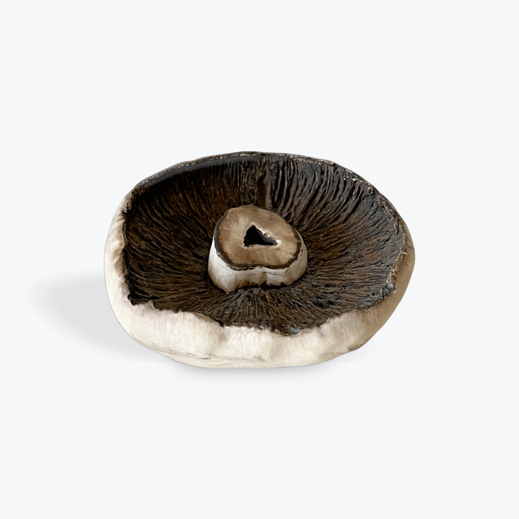 Ceramic Mushroom