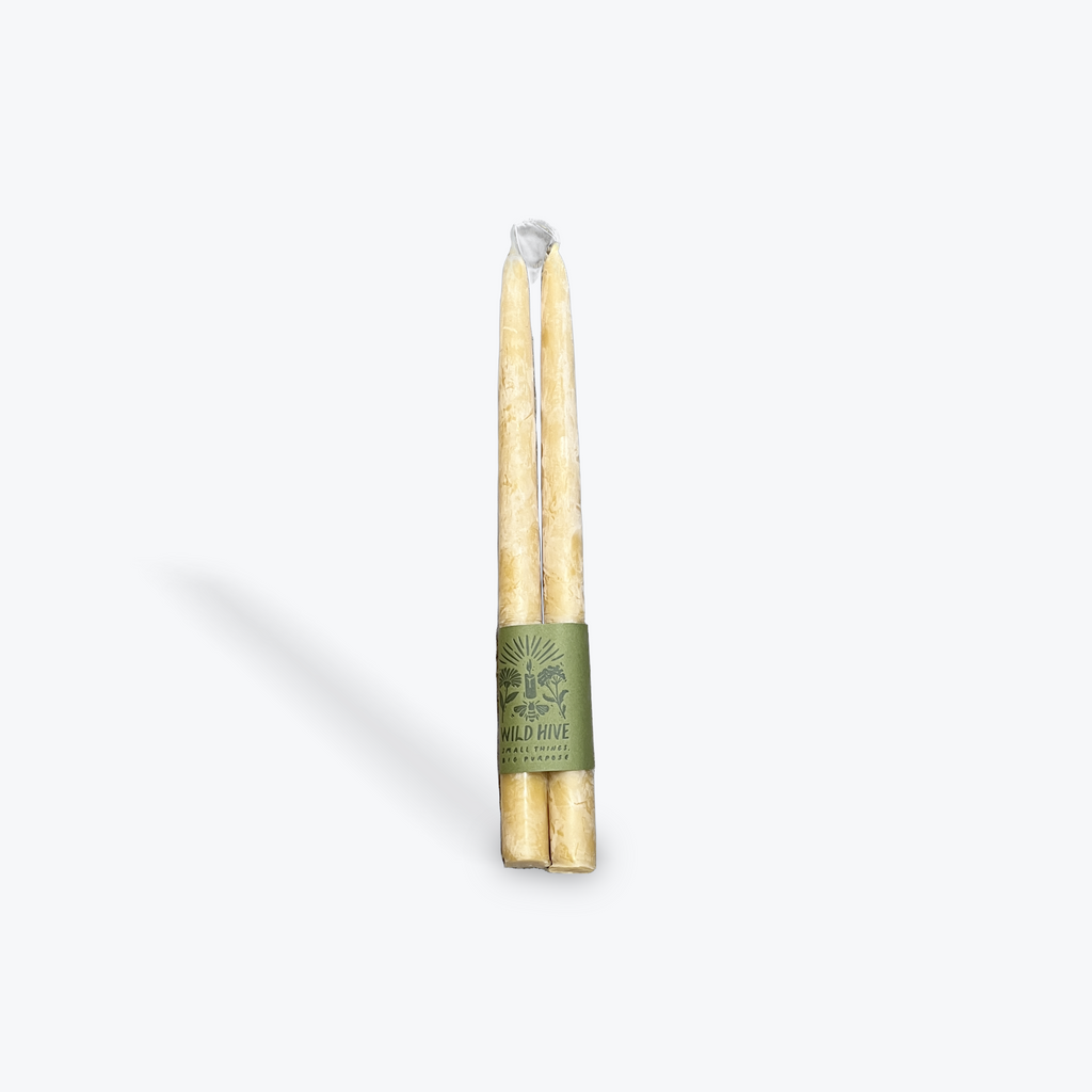 Natural pair of taper candles on a white background. 